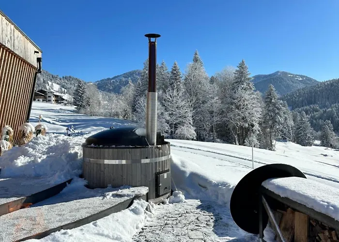 Appartement Alpenu Chaletwohnung Hektors *