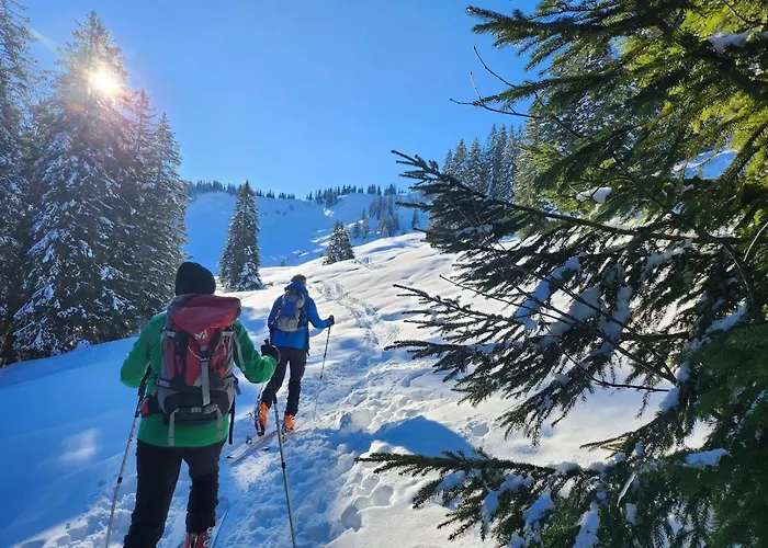 Alpenu Chaletwohnung Hektors Balderschwang